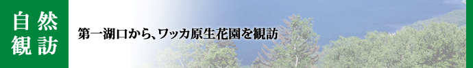 自然観訪-第一湖口から、ワッカ原生花園を観訪-